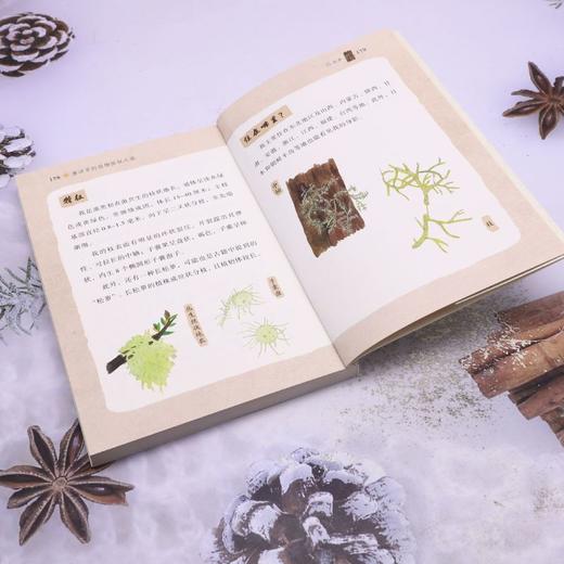 唐诗里的植物探秘之旅 商品图4