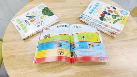 DK有趣的学习：有趣的物理——感受到的力 商品图1