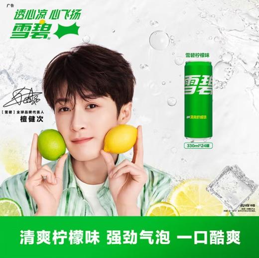 雪碧听装 商品图1