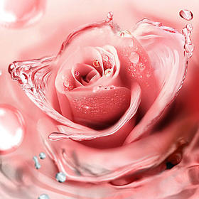 细菌性阴道炎检查