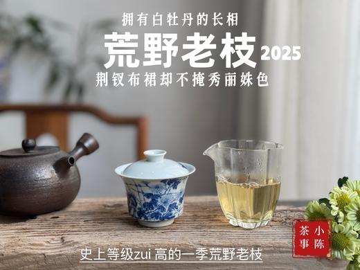 【新茶上市】2025荒野老枝，一款极其稀缺的特制荒野茶，披着白牡丹的外衣，茶汤清鲜，清灵，又香又蜜，让人欲罢不能！(一斤收藏装) 商品图14