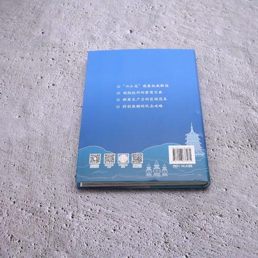 杭州密码:六小龙何以在此腾飞 商品图2