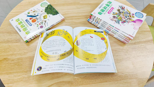 DK有趣的学习：有趣的数学——玩转数与形 商品图2