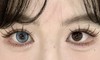 LuLuAlice半年抛美瞳 布偶娃娃 14.2mm 商品缩略图0