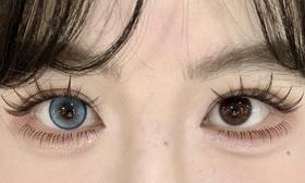 LuLuAlice半年抛美瞳 布偶娃娃 14.2mm