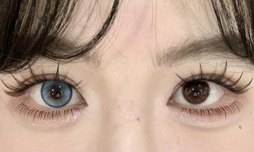 LuLuAlice半年抛美瞳 布偶娃娃 14.2mm 商品图0