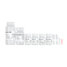 FastPure FFPE DNA Isolation Kit