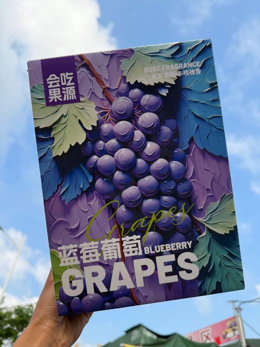 蓝莓葡萄 新鲜采摘 又水又甜 商品图4