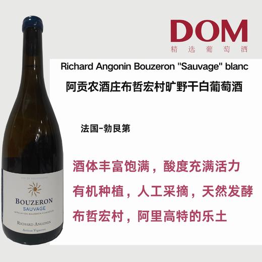 阿贡农酒庄布哲宏村旷野⼲⽩葡萄酒 Richard Angonin Bouzeron "Sauvage" blanc 商品图0