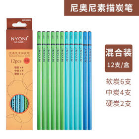 尼奥尼（NYONI）炭笔美术生专用素描铅笔初学者绘画速写学生联考艺考试专业工具-软中硬碳12支/盒N2801