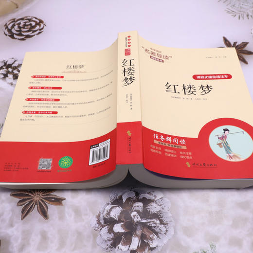 课程化精批精注本.红楼梦 商品图3