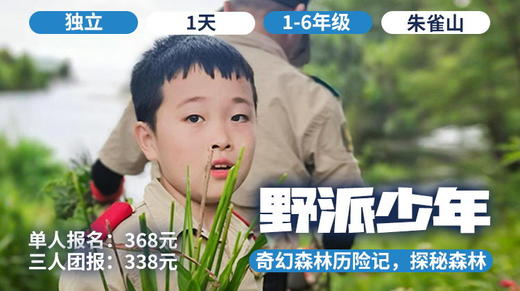 备用  |「野派少年」奇幻森林历险记 商品图0