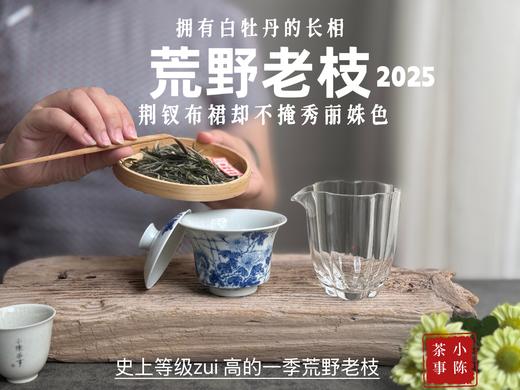 【新茶上市】2025荒野老枝，一款极其稀缺的特制荒野茶，披着白牡丹的外衣，茶汤清鲜，清灵，又香又蜜，让人欲罢不能！（50克） 商品图6