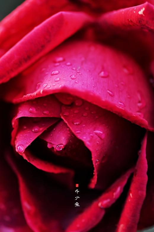 【到货冷藏保存!!!】【玫瑰醋  来自远方云南的味道】 几年前展会上喝到过  至今念念不忘  淡淡的  带有玫瑰的香气 商品图4