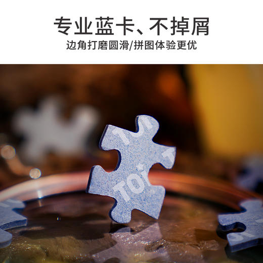 TOI图益哈利波特拼图成人1000片平面高难度手工玩具照片墙人物合集 商品图4