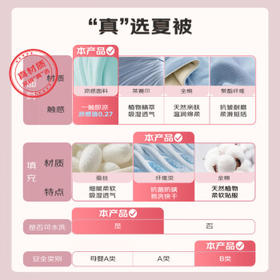 皮尔卡丹抗菌可水洗空调被夏季 冰丝夏凉被双人夏被薄被子 石兰 200*230cm