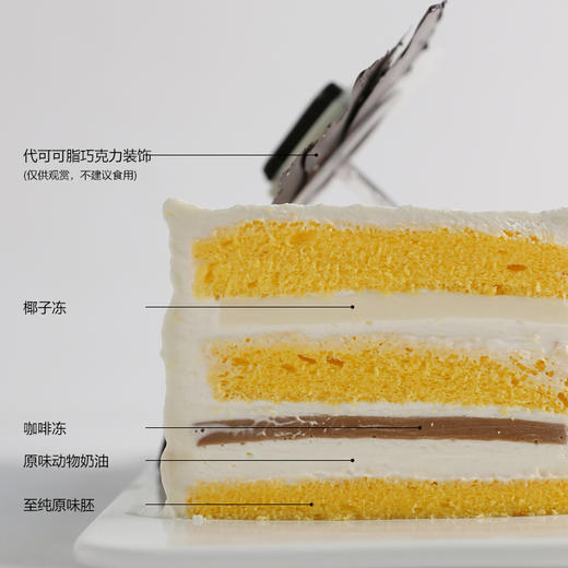 十二星座—双子座(05.21—06.21) 商品图2