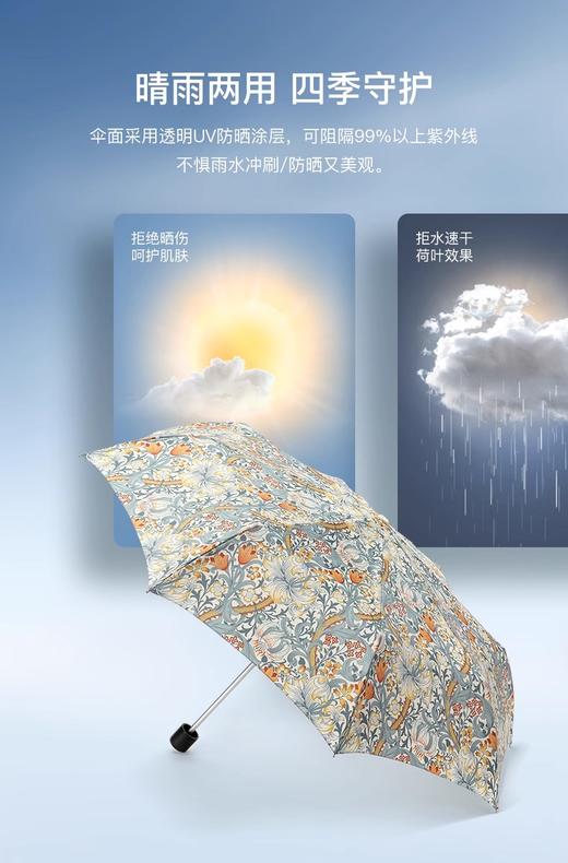 石榴婆直播专享FULTON富尔顿英国进口防晒太阳伞图案女晴雨两用便携伞 商品图8
