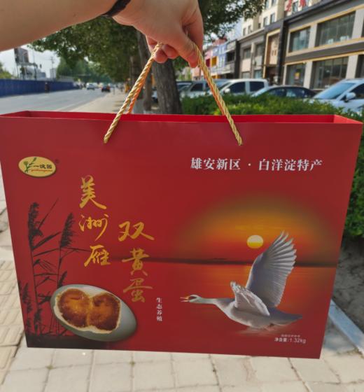 双黄大雁蛋礼盒 商品图0