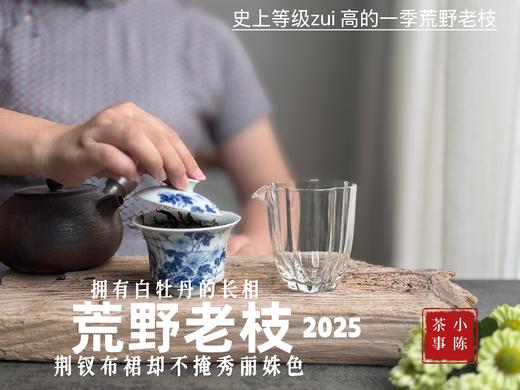 【新茶上市】2025荒野老枝，一款极其稀缺的特制荒野茶，披着白牡丹的外衣，茶汤清鲜，清灵，又香又蜜，让人欲罢不能！（50克） 商品图9