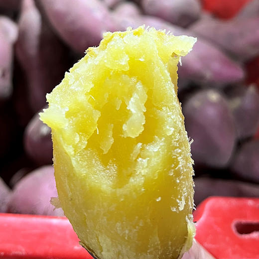 【偏远地区不发货，具体看详情页】正耕 幸福闺薯 有机板栗薯地瓜  5斤 商品图3