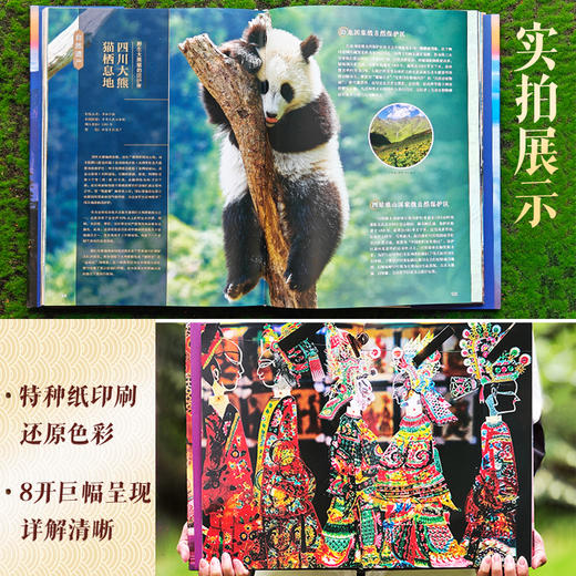 【赠纸鸢非遗帆布包】中国世界遗产全书精装典藏全两册非遗瑰宝 商品图6