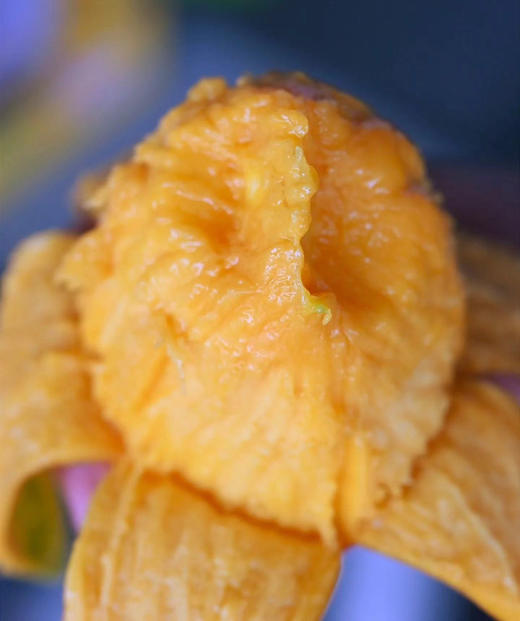 海南玉文芒，芒果中的爱马仕，皮薄肉厚，丝少，这里光照充足，昼夜温差大，全程采用生态种植技术，确保果实自然成熟，积累充足糖分与香气，形成独特风味。约五斤/袋 商品图0