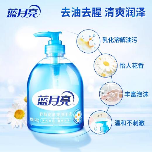 蓝月亮芦荟抑菌+野菊花清爽洗手液500g*2瓶 商品图1