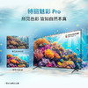 索尼（SONY）新品 65英寸 索尼电视3系 4K HDR 全面屏电视 K-65S30 二级能效 商品缩略图4