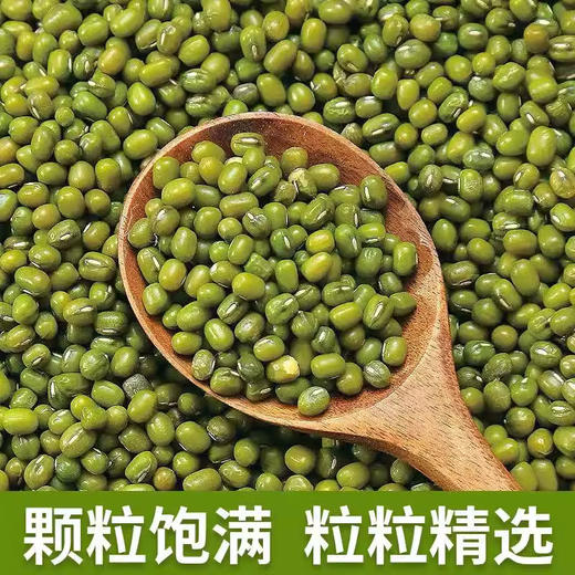新货农家绿豆绿豆糕绿豆沙绿豆汤易熟易烂发豆芽 商品图0