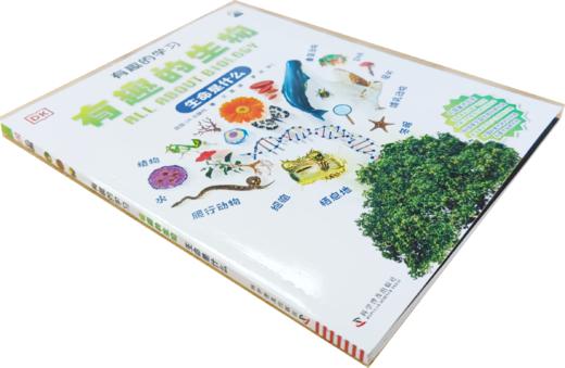 DK有趣的学习：有趣的生物——生命是什么 刮刮乐三等奖 商品图3