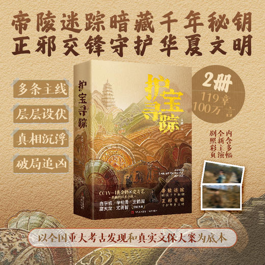 护宝寻踪 央视热播剧同名小说 爱奇艺解密考古文物保护题材刑侦剧 商品图1