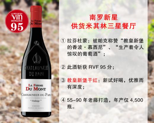 【尾货5瓶，售完无补】RVF95分｜帕克盛赞的南罗新兴名家：拉芬杜蒙酒庄教皇新堡干红（2021年） 商品图0
