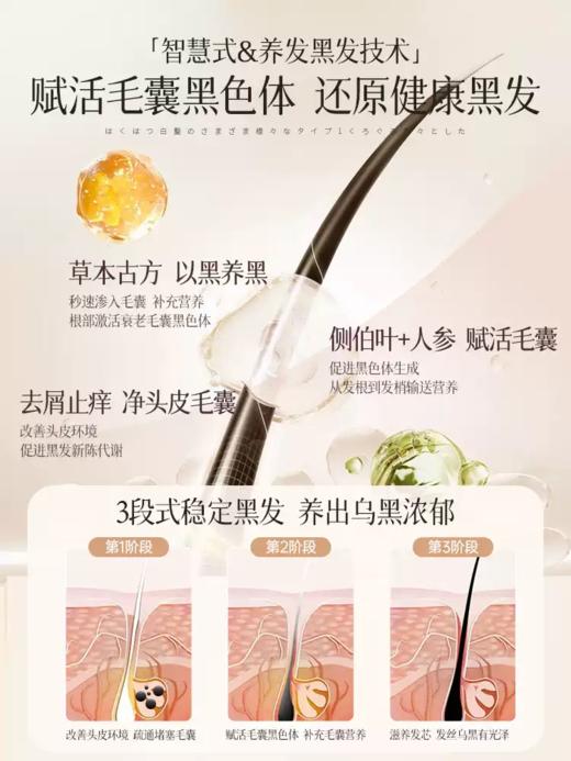 儒意黑灵芝何首乌洗发水非纯植物品牌官方500ml瓶 商品图1