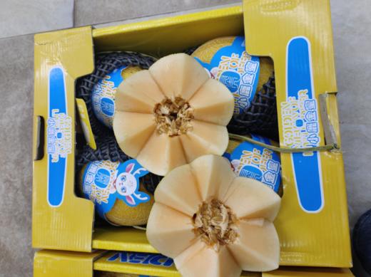 小鹿金蜜瓜2个 商品图1