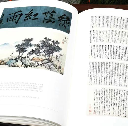 南京博物馆珍藏大系04：《明代吴门绘画》，大8开，精装一册，南京博物院编，江苏凤凰美术出版社2013年一版一印，269页，定价1680，售价588元。 商品图2