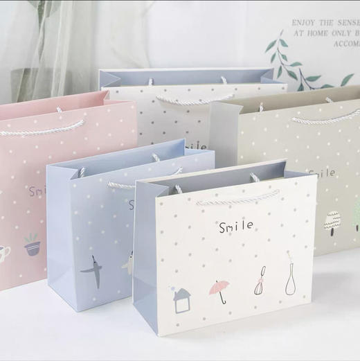 简约横版中号14.5×19.5×8.5cm礼品袋（图案随机） 商品图0