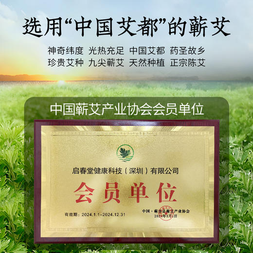 启春堂 | 暖宫仪艾灸盒 暖宫艾灸盒 热敷肚子 新型暖宫艾灸器具 商品图4