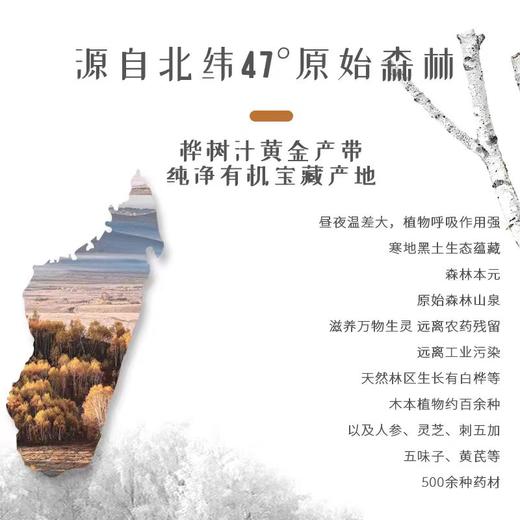 【顺丰包邮】黑河产区伊森阳光浓缩白桦树汁2盒礼袋 商品图3