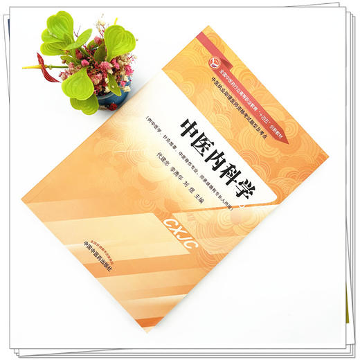 中医内科学 代建忠 李永华  著 全国中医药行业高等职业教育十四五创新教材 中国中医药出版社 书籍 商品图2