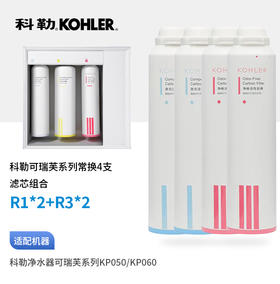 科勒（KOHLER）可瑞芙常换第一第三节各两只共4支组合