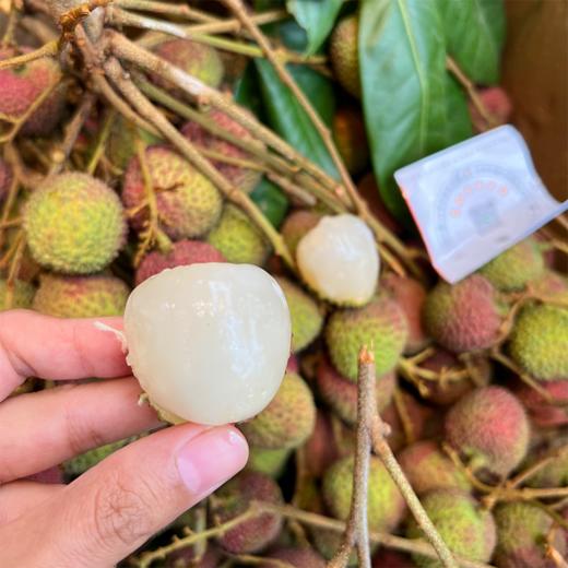 本地妃子笑荔枝 商品图6