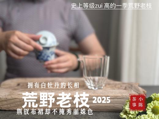 【新茶上市】2025荒野老枝，一款极其稀缺的特制荒野茶，披着白牡丹的外衣，茶汤清鲜，清灵，又香又蜜，让人欲罢不能！（50克） 商品图7