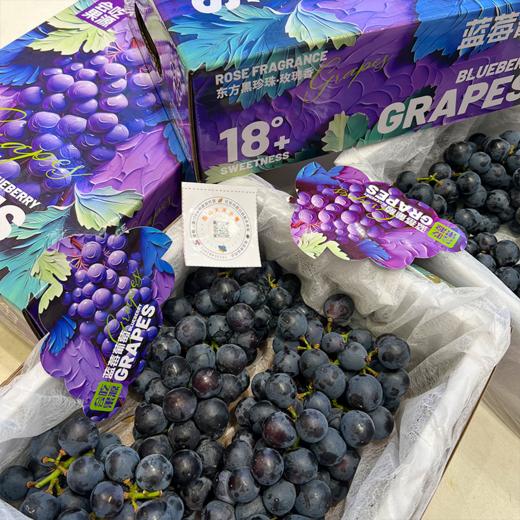 蓝莓葡萄 新鲜采摘 又水又甜 商品图5