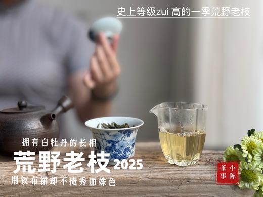 【新茶上市】2025荒野老枝，一款极其稀缺的特制荒野茶，披着白牡丹的外衣，茶汤清鲜，清灵，又香又蜜，让人欲罢不能！（50克） 商品图11