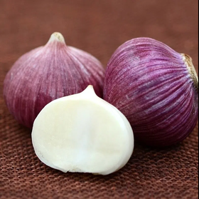 甜果源源 云南鲜蒜【独头蒜】