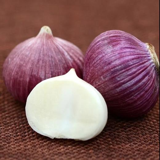 甜果源源 云南鲜蒜【独头蒜】 商品图0