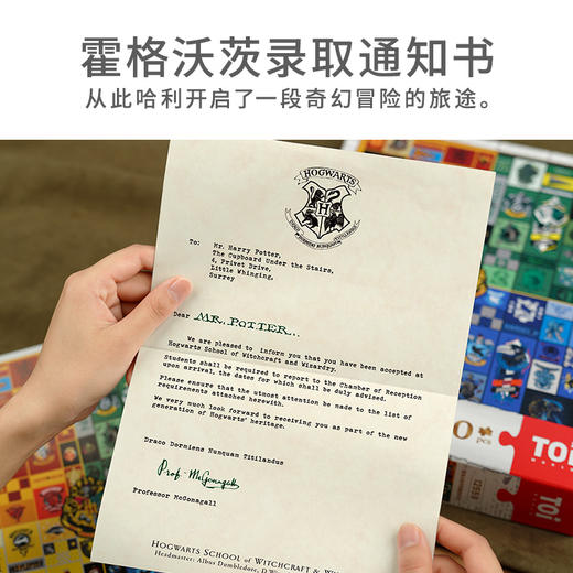 TOI图益哈利波特拼图成人1000片平面高难度手工玩具照片墙人物合集 商品图7
