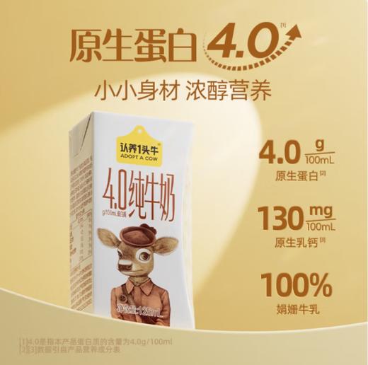 娟姗纯牛奶 商品图0