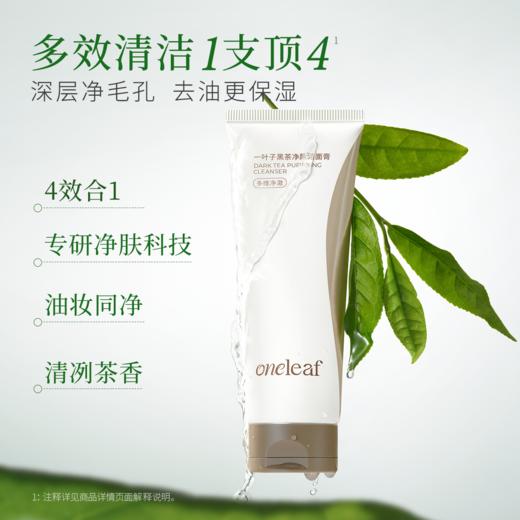 【买1送1】一叶子黑茶净颜洁面膏100g-清洁卸妆保湿舒缓控油去角质 商品图1